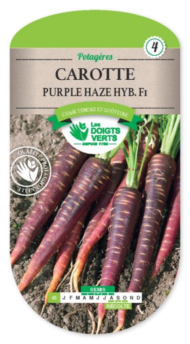 Carotte Purple Haze Hybride F.1
