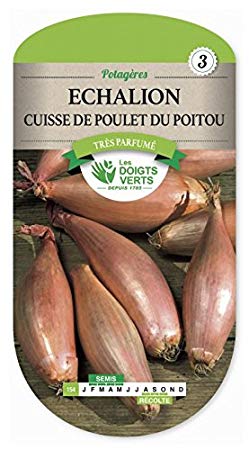 Echalion Cuisse de Poulet du Poitou