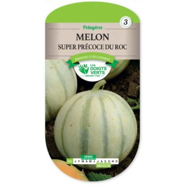 Melon Super Précoce du Roc