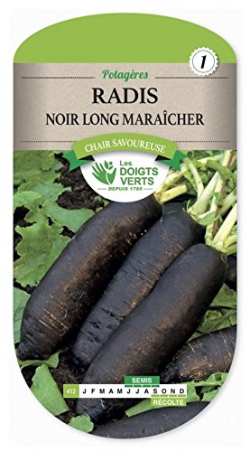 Radis Noir long Maraicher