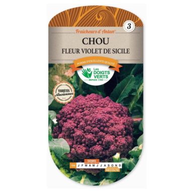Chou - Fleur Violet De Sicile