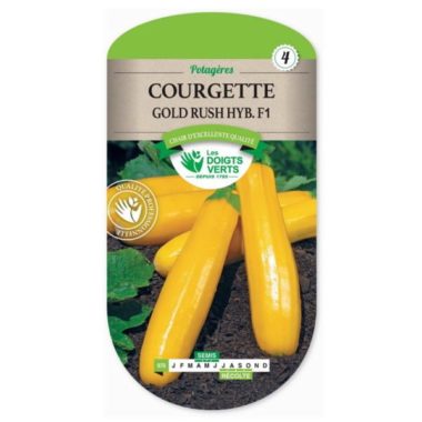 Courgette Gold Rush Hyb. F1